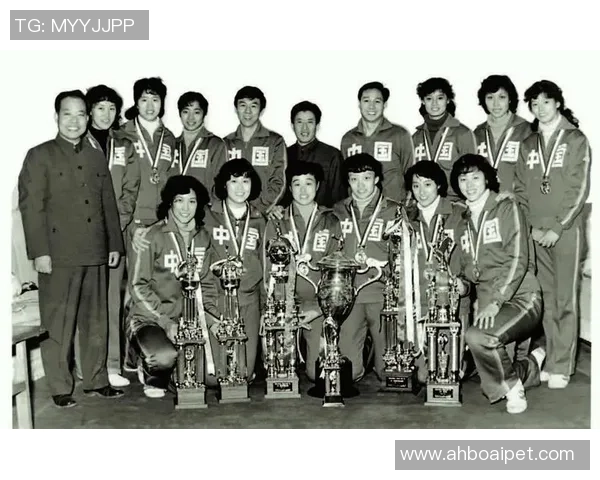 杭州排球队勇闯世界锦标赛的辉煌历程与突破成就分析