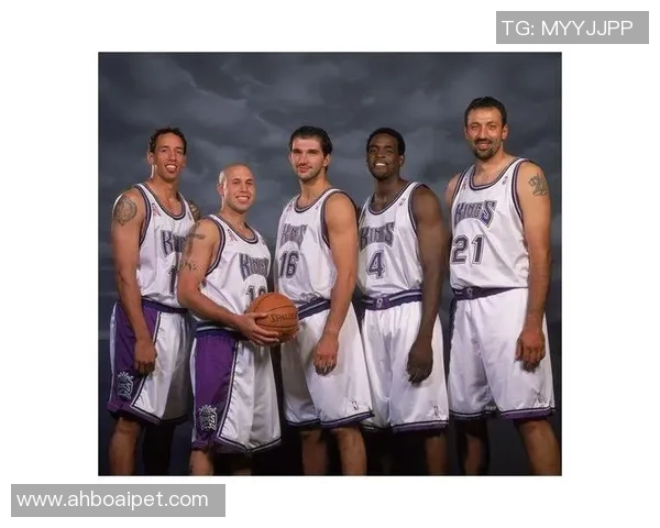 篮球传奇揭秘：深入探讨北京篮球队的实力与魅力之源