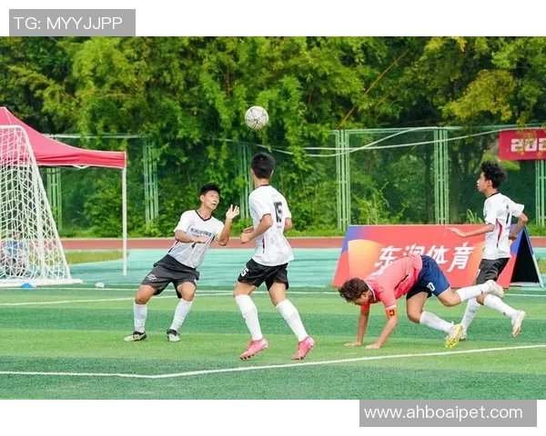 成都足球队在全国足球团队协作排行榜中荣获第八名展现出卓越团队精神与实力